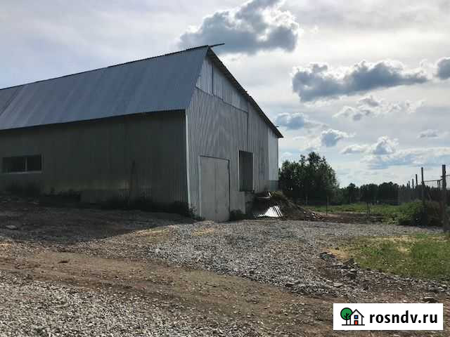 Ферма Соликамск - изображение 1