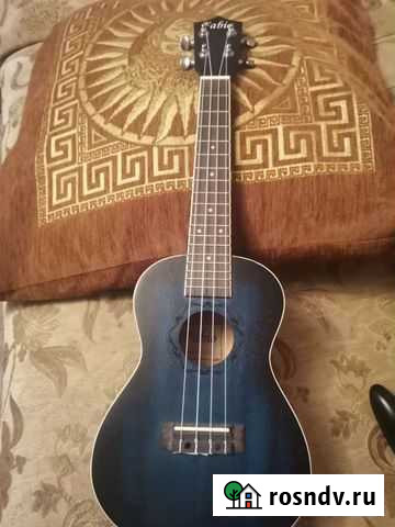 Укулеле концерт Дзержинск - изображение 1