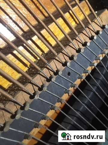 Пианино Сочи - изображение 1