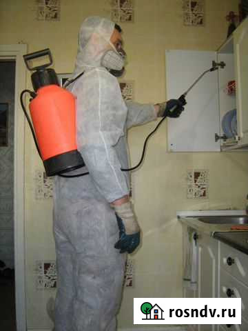 Уничтожение насекомых. клопов тараканов муравьев Абакан - изображение 1