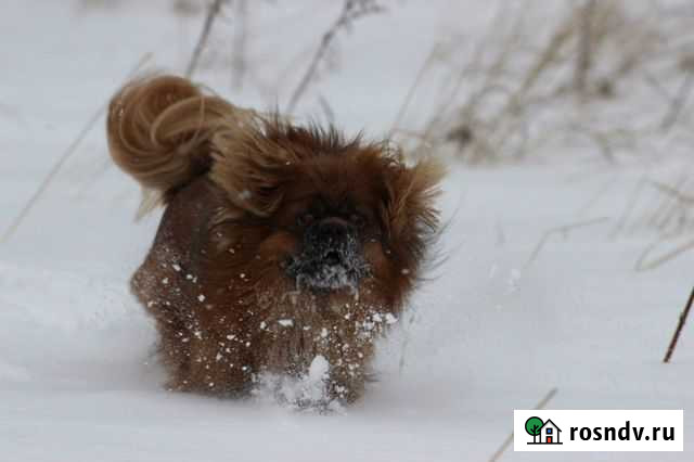 Вязка, кабель Новокузнецк - изображение 1