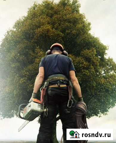 Спил деревьев (Арбористика) Кирово-Чепецк - изображение 1