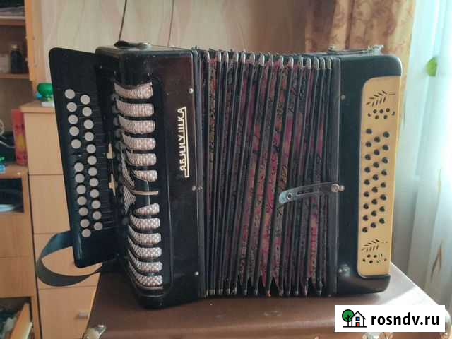 Гармонь Самара - изображение 1