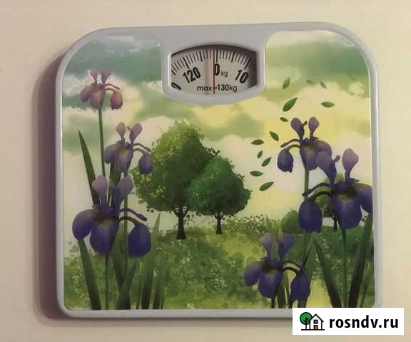 Весы напольные механические Петрозаводск - изображение 1