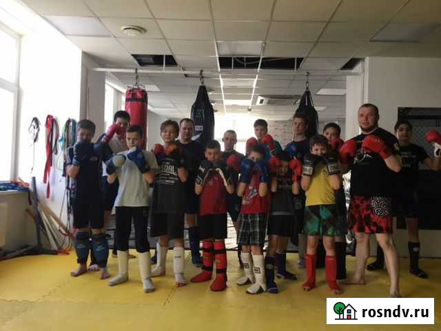 Единоборства (мма) Пермь - изображение 1