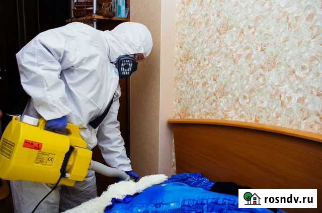 Уничтожение клопов,тараканов,муравьёв,клещей Нижний Новгород - изображение 1