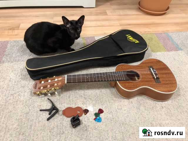 Гитара 28 дюймов (гиталеле / guitalele ) 18 ладов Руза - изображение 1