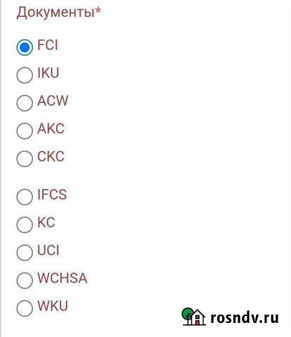 Услуги Вязки мопсов Москва - изображение 1