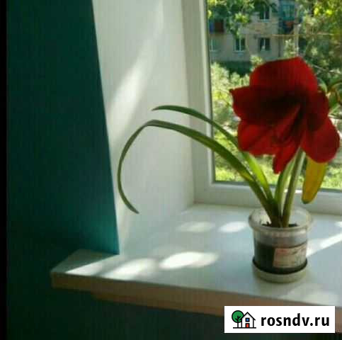 Домашний мастер Любой ремонт Симферополь - изображение 1