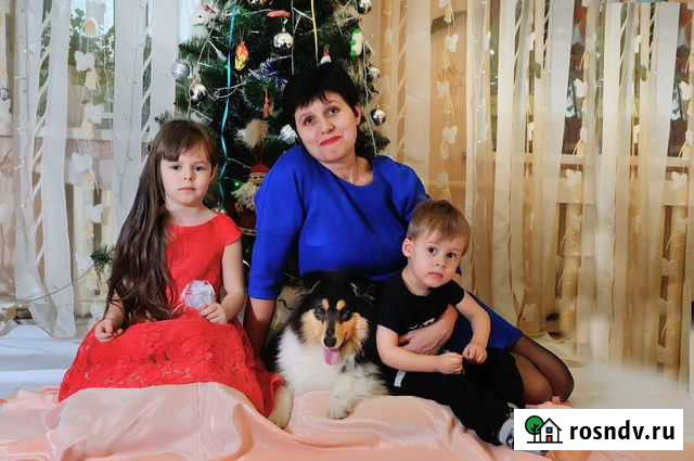 Новогодние утренники Видео-фото Шебекино - изображение 1