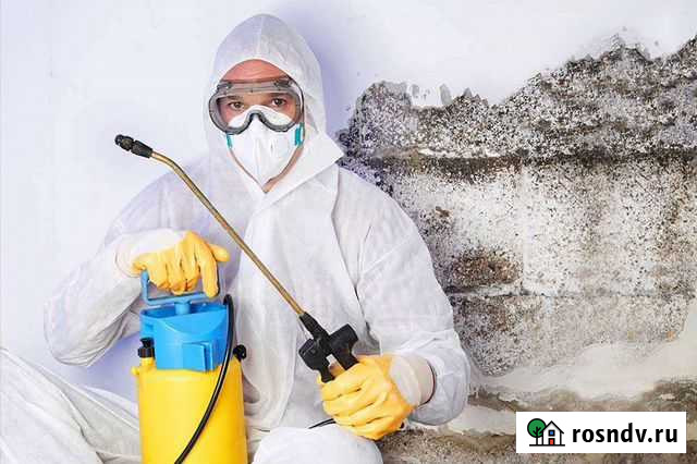 Обработка от плесени Вологда - изображение 1