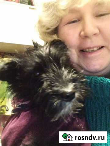 Няни, сиделки,помощника по дому Сатинка - изображение 1