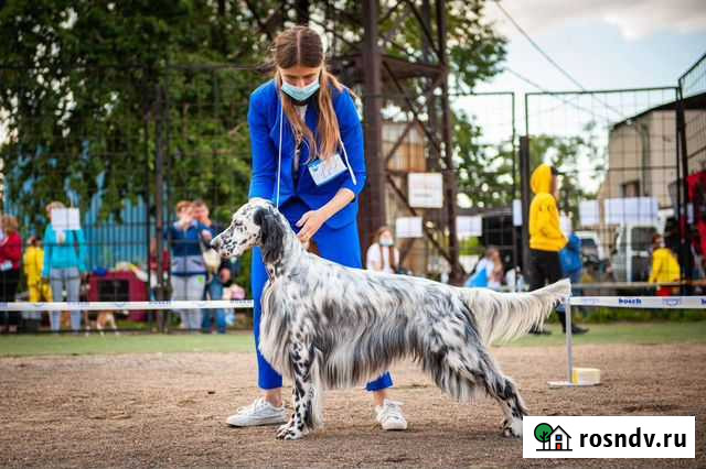 Предлагаю услуги хендлера Иркутск - изображение 1