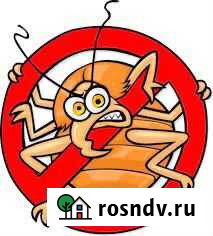 Профи дез Ярославль - изображение 1