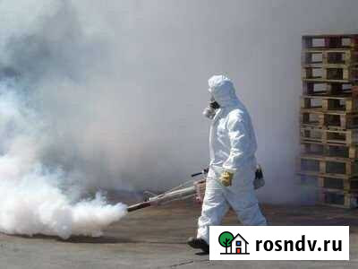 Уничтожение насекомых и грызунов с гарантией Ялта - изображение 1