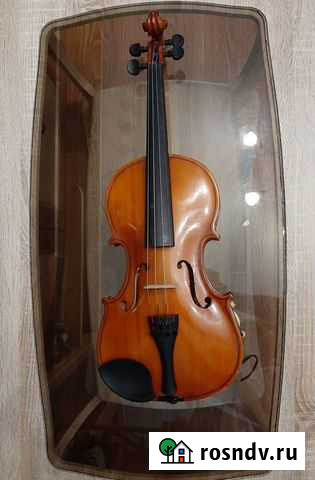 Скрипка Новосибирск - изображение 1