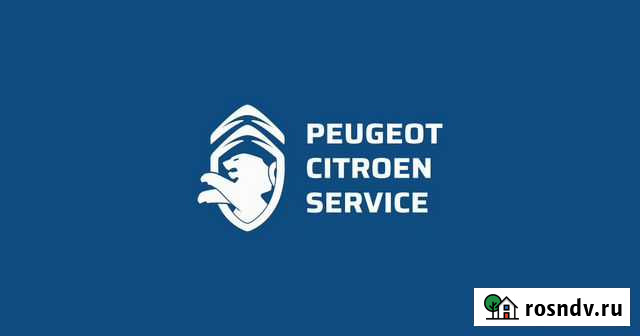 Citroen, Peugeot диагностика Железногорск - изображение 1