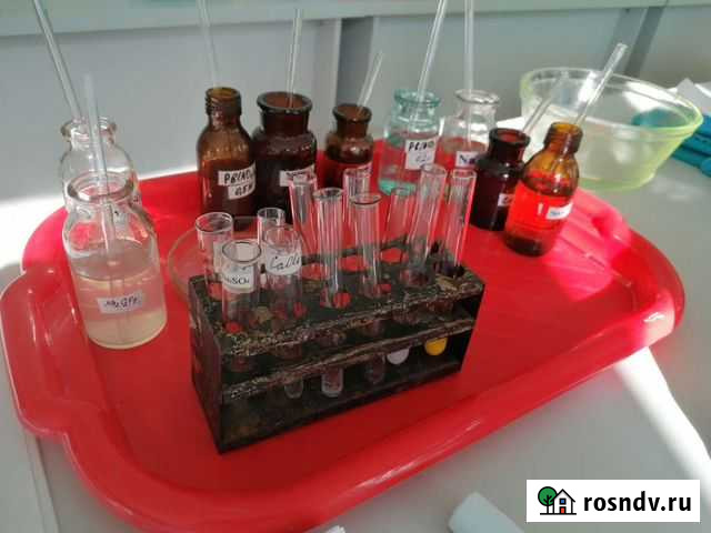 Репетитор по биологии егэ/огэ Благовещенск - изображение 1