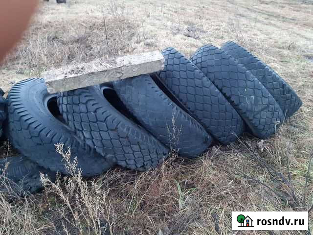 Резина на Маз Лунино - изображение 1