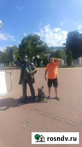 Отлов собак, кошек, домашних питомцев Волгоград - изображение 1