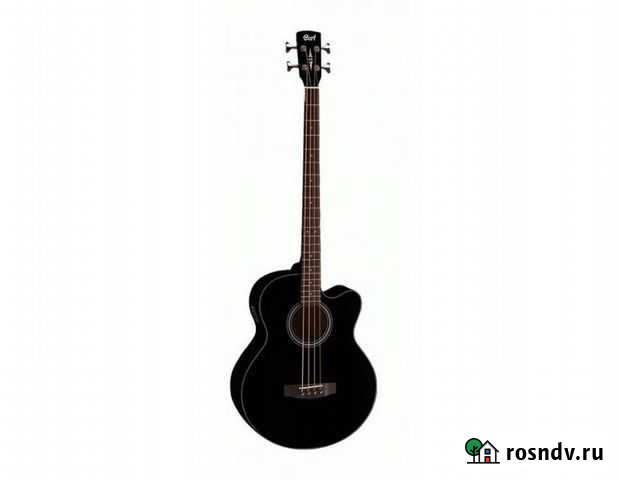 Акустический бас Рязань - изображение 1