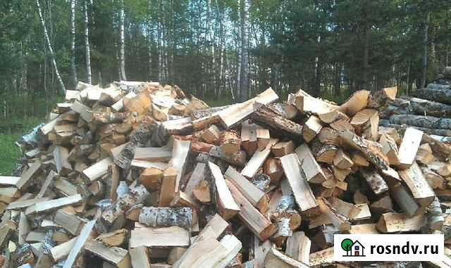 Дрова березовые. Качественные Лесколово - изображение 1