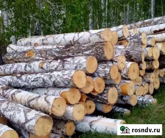 Береза Якшур-Бодья - изображение 1