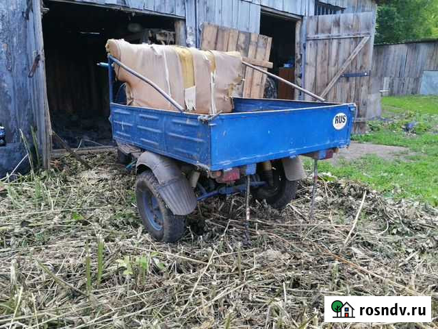 Муравей Новоульяновск - изображение 1