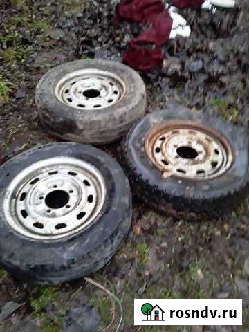 Колеса на соболь Киров - изображение 1