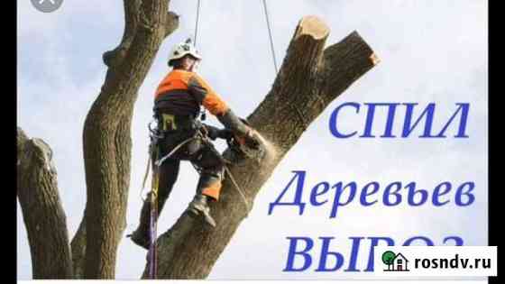 Спил деревьев Курск