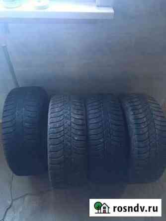 Nokian 205/55 R16 Гусь-Хрустальный