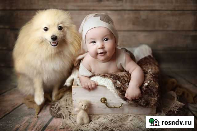 Детский фотограф (Малыши до года) Казань - изображение 1