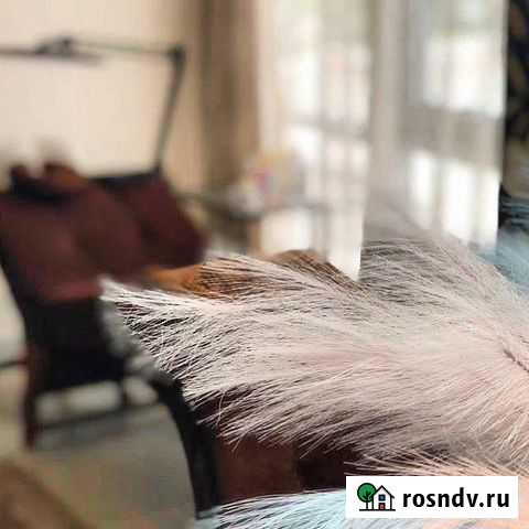 Готовый бизнес салон красоты Барнаул - изображение 1