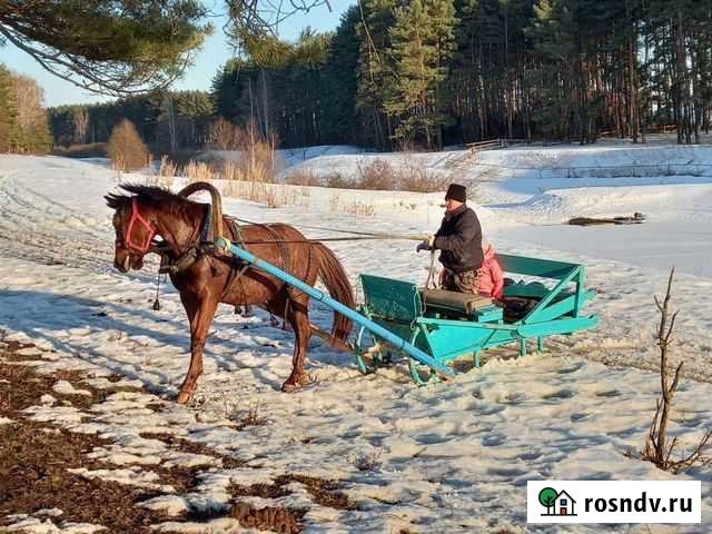 Агроусадьба Серебряные Пруды - изображение 1