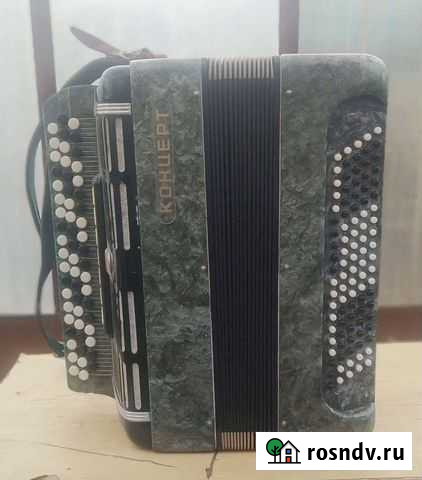 Баян концерт Камышин - изображение 1