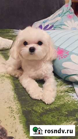 Фотосессия Курск - изображение 1