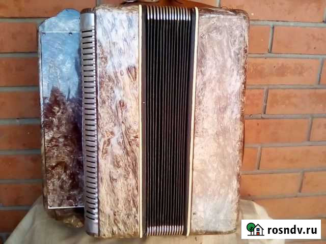 Баян Жигулевск - изображение 1