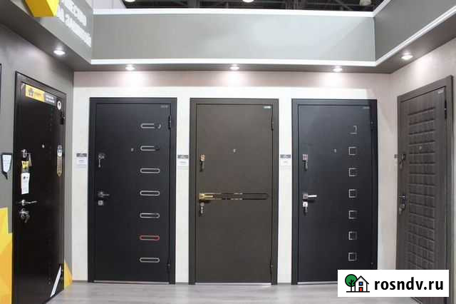 Входные двери премиум-класса Саранск - изображение 1