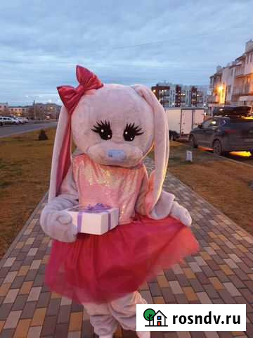 Аниматор. Зайка. Ростовая кукла Волгоград - изображение 1