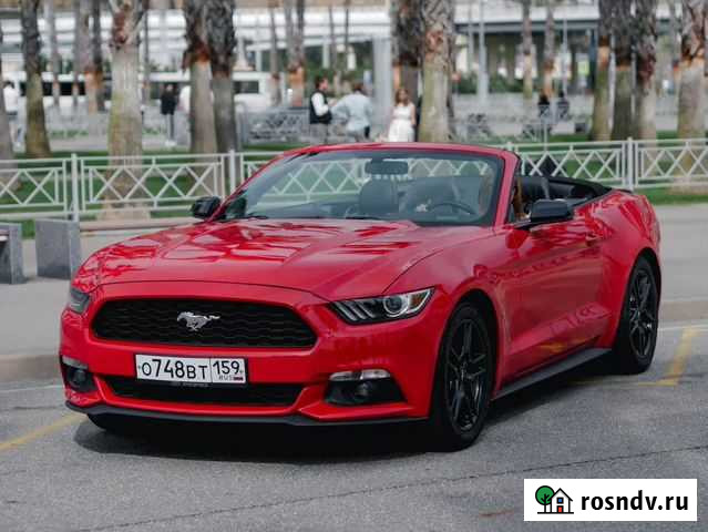 Прокат / Аренда Кабриолета Ford Mustang Red Сочи - изображение 1