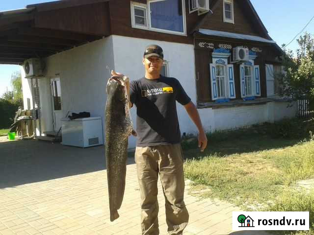 Рыбалка в Астрахани Черный Яр - изображение 1