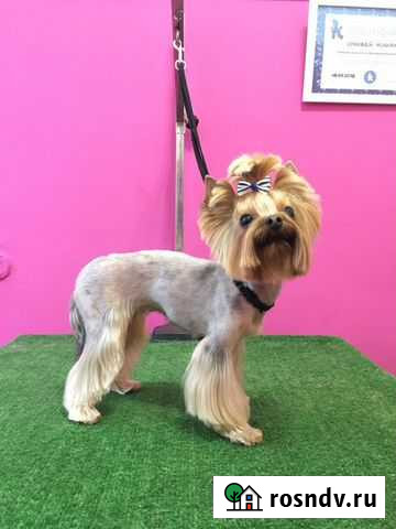 Стрижка собак, кошек (груминг, тримминг) Курск - изображение 1