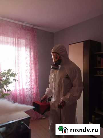 Частный мастер по дезинсекции Вязьма - изображение 1