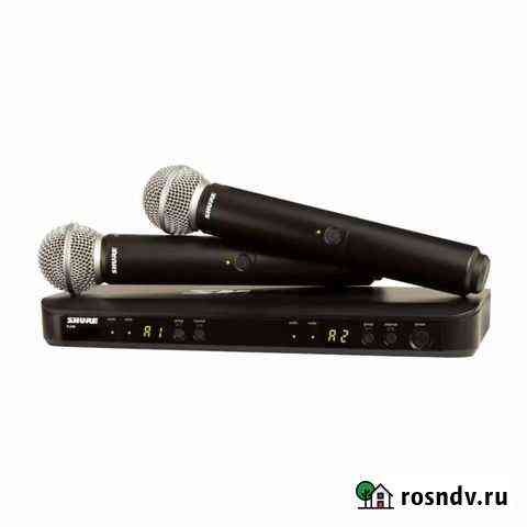 Радиосистема: Shure BLX288E/SM58 M17 Лиски