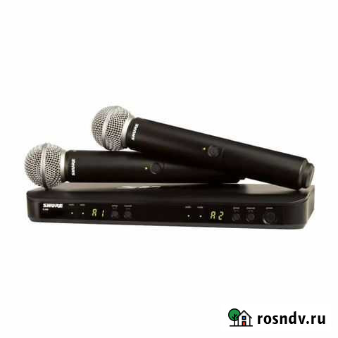 Радиосистема: Shure BLX288E/SM58 M17 Лиски - изображение 1