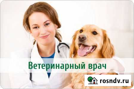 Ветеринарный врач, ветеринарные услуги Тула - изображение 1