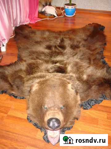 Услуга таксидермиста, изготовление чучел Волгодонск - изображение 1