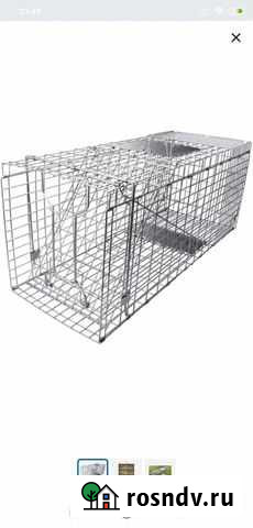 Котоловка (кошколовка) в аренду Калуга - изображение 1