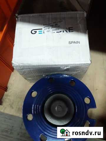 Клапан обратный пружинный Genebre 2450 чугунный фл Мытищи - изображение 1