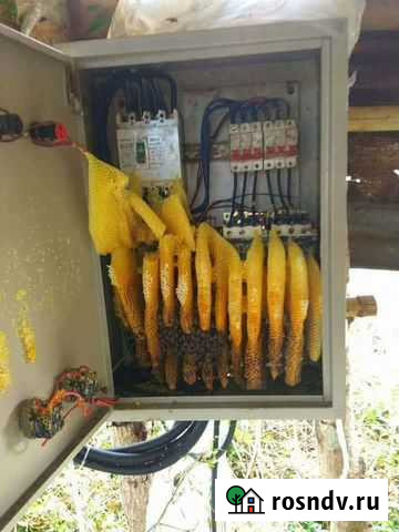 Электрик Азнакаево - изображение 1